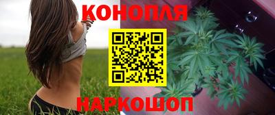 мяу мяу мука Можга
