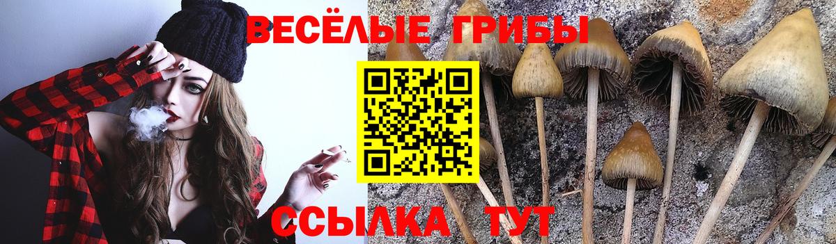 Псилоцибиновые грибы прущие грибы  Псилоцибиновые грибы ЛСД  Верхняя Пышма  Вход с VPN 
