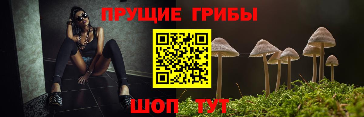 Псилоцибиновые грибы прущие грибы Верхняя Пышма